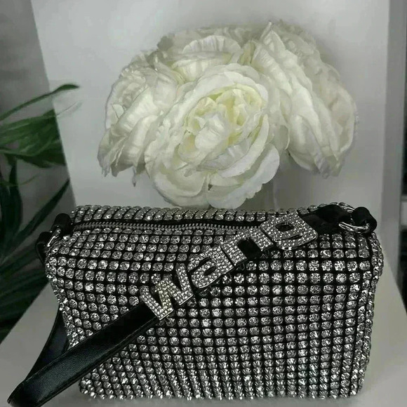 ✨ Alexander Wang Rhinestone Mesh Pouch - Picture 3 of 9